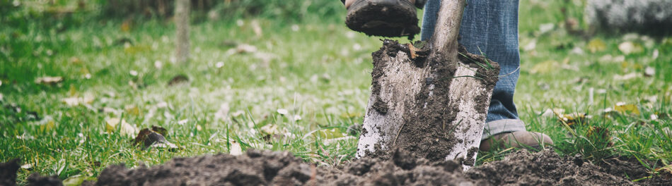 Foot on shovel digging into backyard