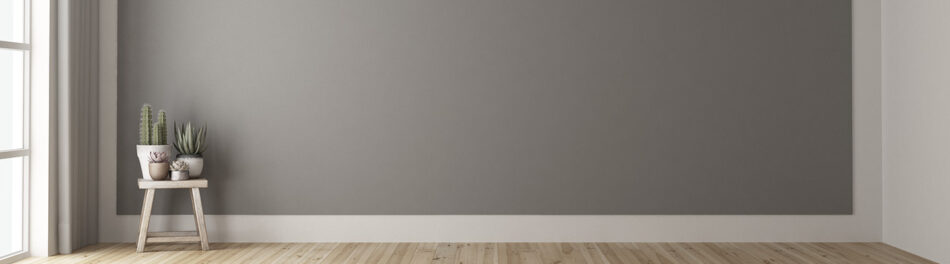 Blank wall in empty home