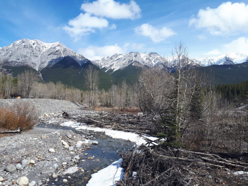 Hike near alberta rockies
