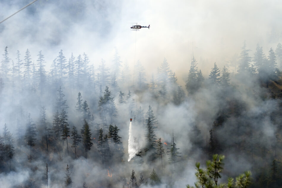 Helicopter dropping water on a forest wildfire trying to protect communities in Alberta.