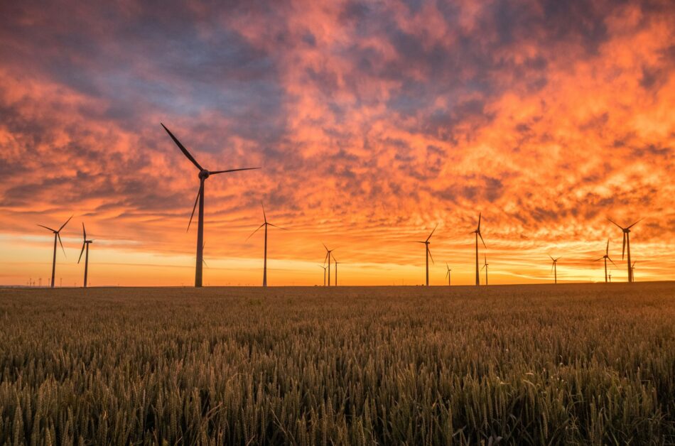 Windmills on skyline at sunset