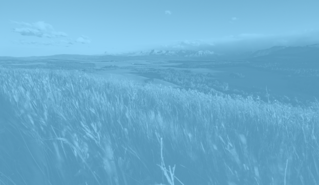 Farm fields with a sky blue overlay