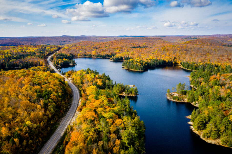 Aerial view of a rural highway by a lake and through a forest in autumn