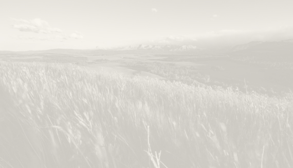 farm fields with a cream image overlay