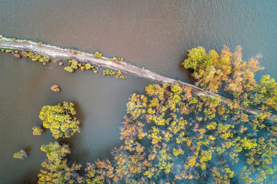 The O’Keefe Rail Trail walking track between Bendigo and Heathcote after the flooding rains. This normally dry area was completely inundated with water.
