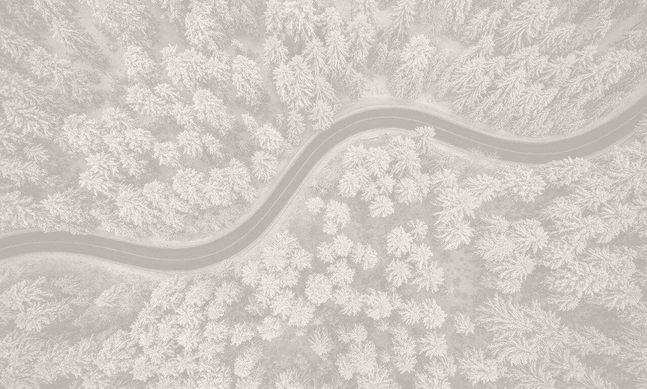 Aerial view of a winding road surrounded by forest and dense trees
