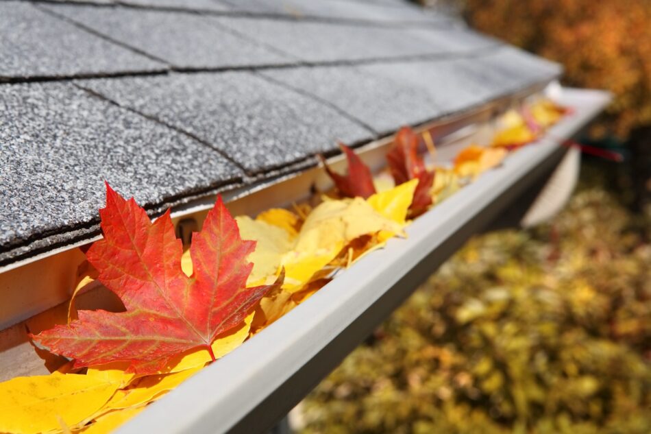 Fall leaves in gutter
