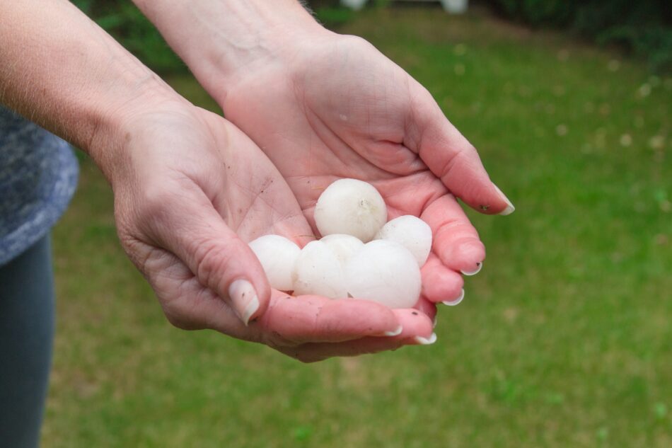 Very large pieces of hail in hand