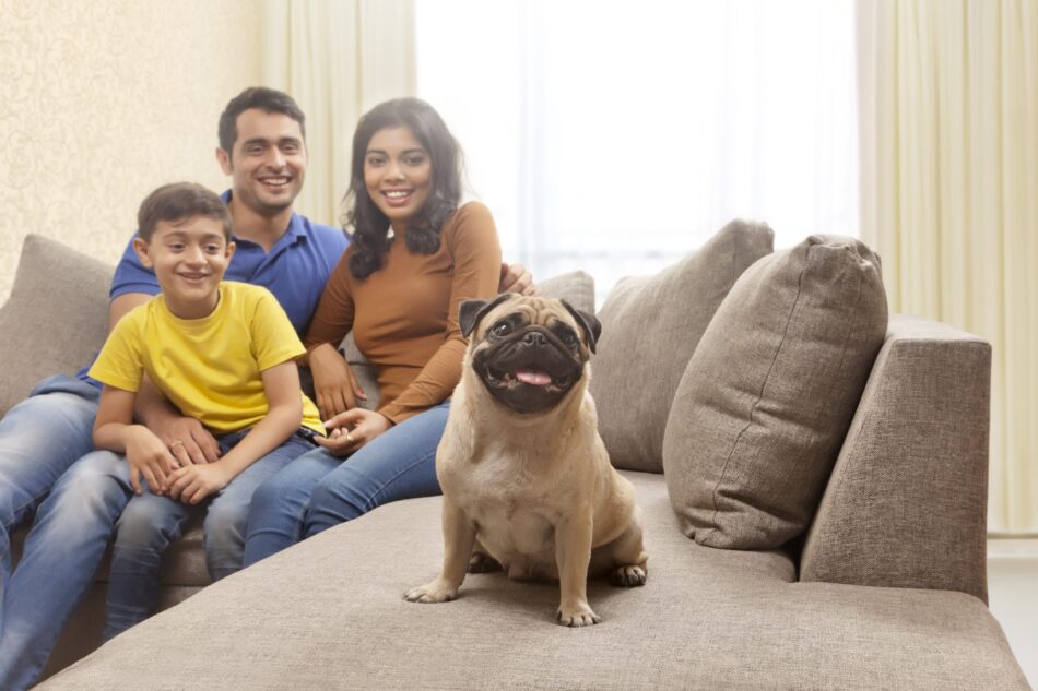 Young family sitting on couch with pug and smiling