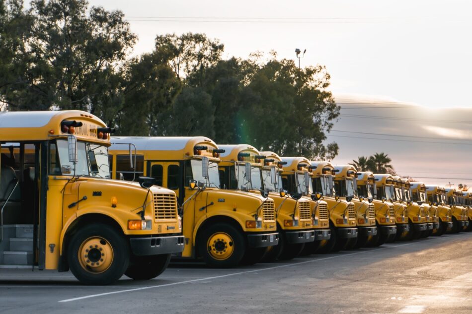 Fleet of school buses