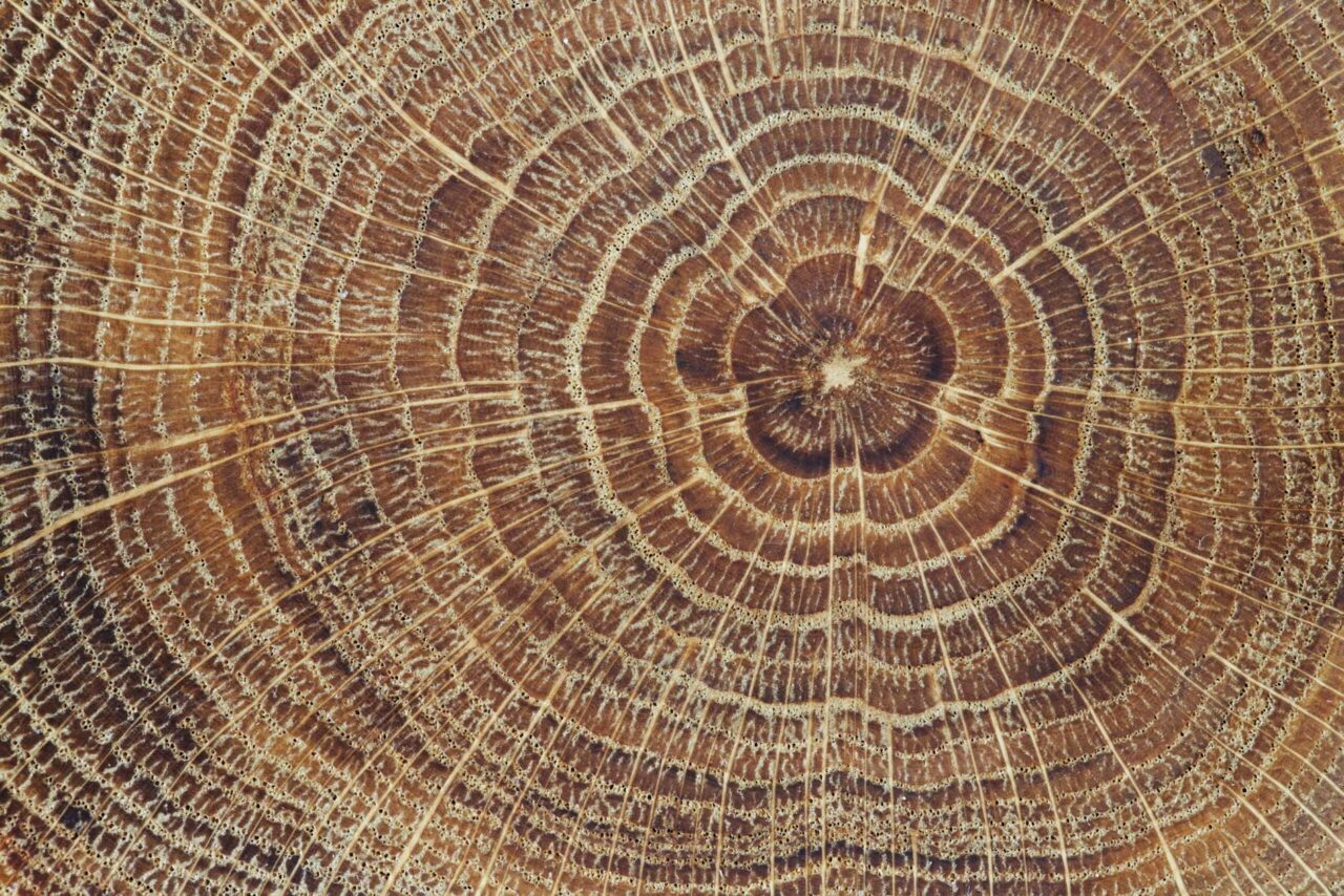 Wood Product Manufacturers: Reduce Your Insurance Premiums and Avoid WorkSafeBC Fines