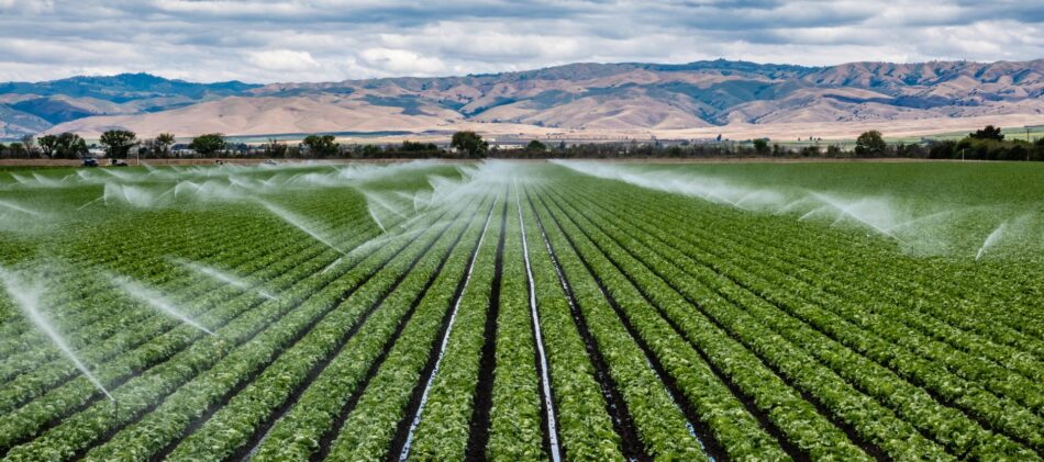 Overhead view of lush green farm fields with sprinklers going