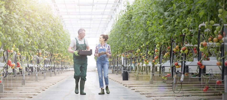 Man and a woman in a nursery with fresh fruit and vegetables