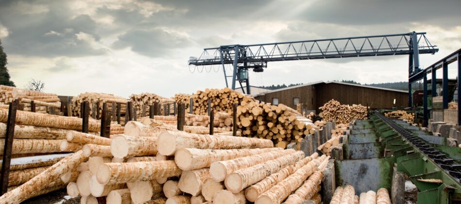 View of lumber at a sawmill