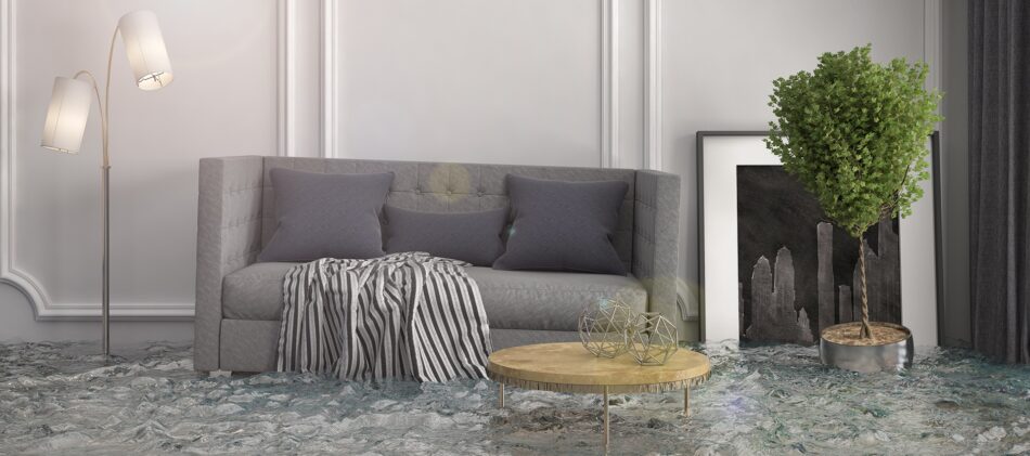 Flood in living room
