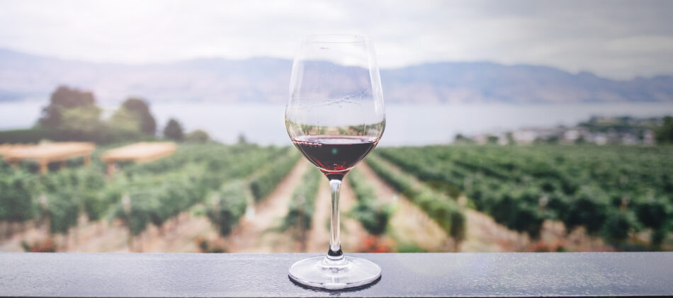 Glass of red wine on table with vineyard and lake in the background