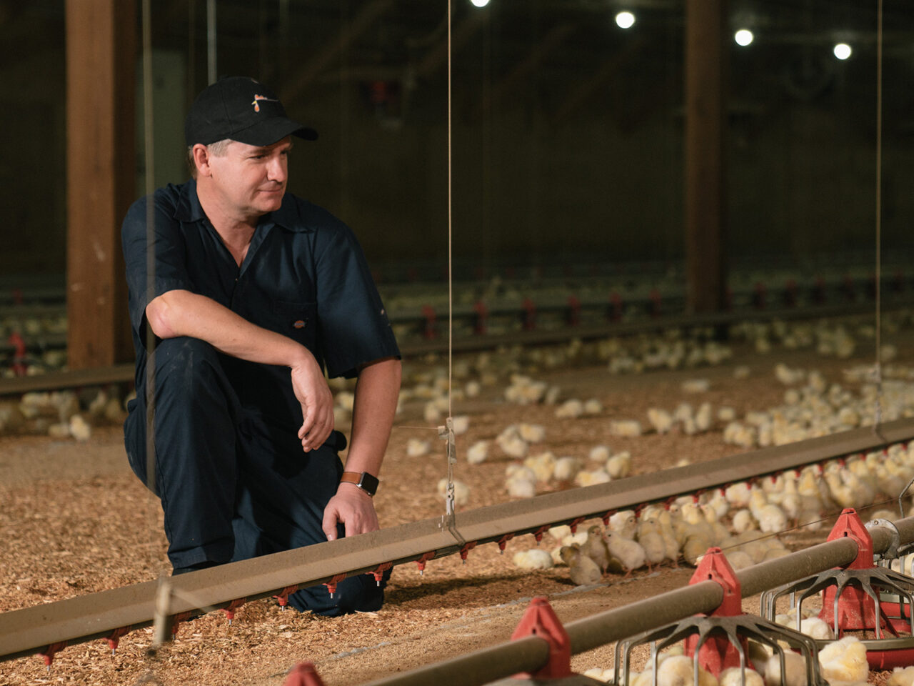 Protecting the future of farming 